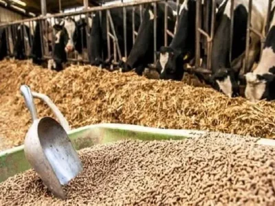 حتی با تشدید جنگ نگرانی برای تأمین نهاده‌ها وجود نخواهد داشت