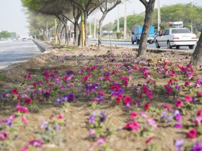 گل کاری نوروزی در بلوارهای بندرماهشهر