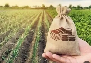 سایه قبض ۴۰۰ میلیونی بر سر کشاورزان/ مشکل برق چاه‌ها ریشه‌ای حل شود