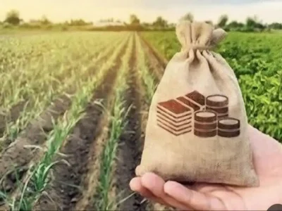 سایه قبض ۴۰۰ میلیونی بر سر کشاورزان/ مشکل برق چاه‌ها ریشه‌ای حل شود