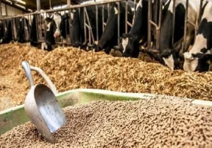 حتی با تشدید جنگ نگرانی برای تأمین نهاده‌ها وجود نخواهد داشت